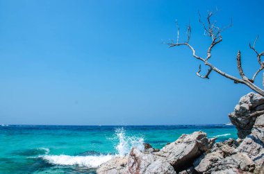 manzara manzarası koh larn adası popüler tropikal plaj sıcak hava ve güzel bir gün Pattaya şehrinde Tayland 'ın Chonburi iline.