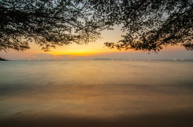 Ağacı ve güzel gökyüzü manzarası olan Sunset Beach. Seyahat, turizm, tatil konsepti. Pattaya sahilinin cennet sahnesi. Turuncu güneşin üzerinde güzel ağaç siluetleri