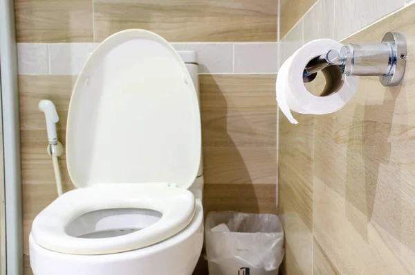 Рулон Белой Туалетной Бумаги Висит Держателе Туалетной Бумаги Салоне Ванной — стоковое фото