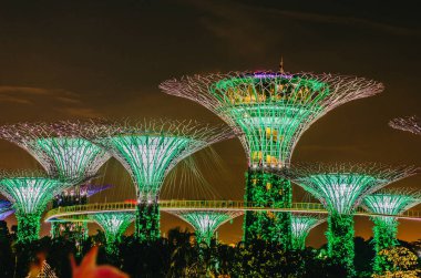 ŞARKI - 24 Kasım 2018: körfez kenarındaki Gardens 'taki Supertrees' in gece manzarası. Ağaca benzer yapılar, ağaçların ekolojik işlevlerini taklit eden çevre teknolojileriyle donatılmıştır..