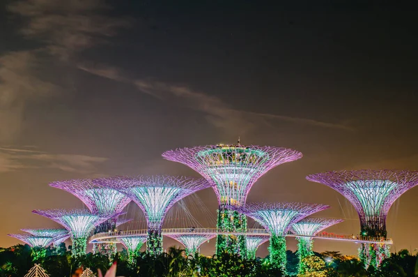 2018 Singapore November 2018 Night View Supertrees Bay 나무와 구조는 — 스톡 사진