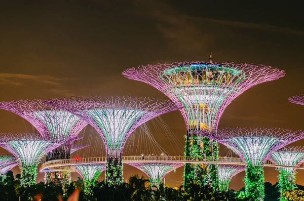 2018 Singapore November 2018 Night View Supertrees Bay 나무와 구조는 — 스톡 사진