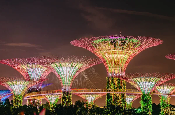 2018 Singapore November 2018 Night View Supertrees Bay 나무와 구조는 — 스톡 사진