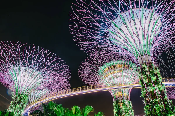 Singapore November 2018 Night View Supertrees Gardens Bay Szerű Szerkezetek — Stock Fotó