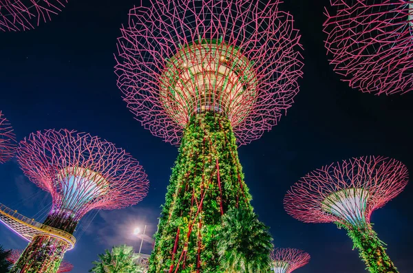 Singapore November 2018 Night View Supertrees Gardens Bay Szerű Szerkezetek — Stock Fotó