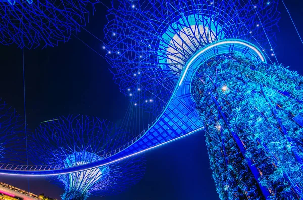 Сингапур Ноября 2018 Года Ночной Вид Супердеревья Садах Залива Деревоподобные — стоковое фото