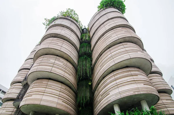 Singapour Nov 2018 Vue Intérieur Bâtiment Dim Sum Basket Université — Photo