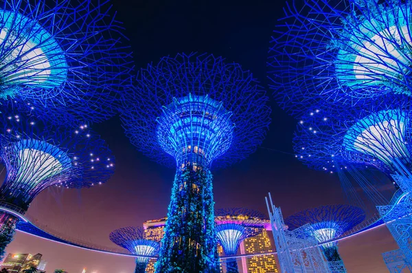 2018 Singapore November 2018 Night View Supertrees Bay 나무와 구조는 — 스톡 사진