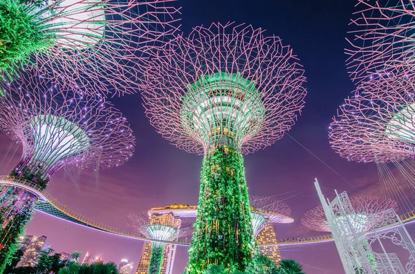 Singapur Noviembre 2018 Vista Nocturna Superárboles Gardens Bay Las Estructuras — Foto de Stock