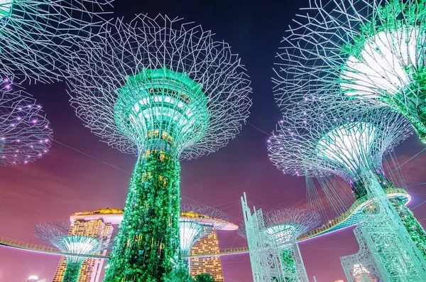 2018 Singapore November 2018 Night View Supertrees Bay 나무와 구조는 — 스톡 사진