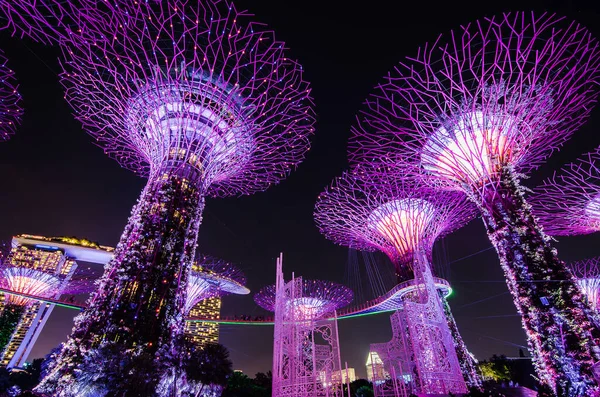 シンガポール 2018年11月25日 ガーデンズのスーパーツリーの夜景 木のような構造は 木の生態学的機能を模倣した環境技術を備えています — ストック写真