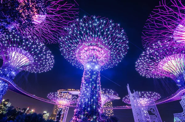 Сингапур Ноября 2018 Года Ночной Вид Супердеревья Садах Залива Деревоподобные — стоковое фото
