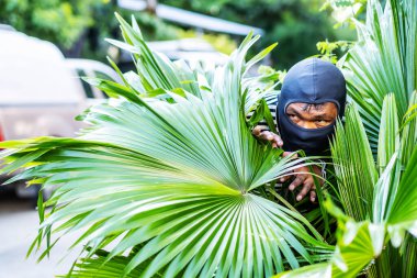 The robber are hiding behind the bushes In order to plan a robbery in the rich village clipart