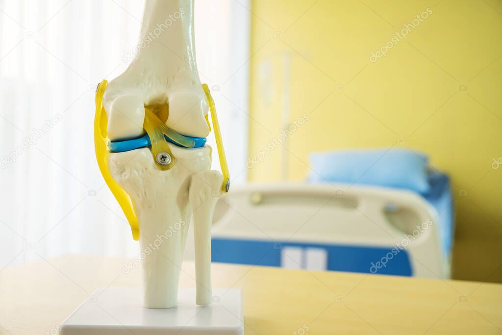 Medical and orthopedic concept, knee joint anatomy model for medical teaching before they are used to describe the patient as a guideline for surgical decision-making on table near patient bed an examination room in a hospital
