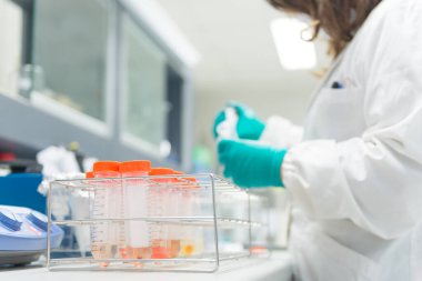 Bilim adamı deney için örnek hazırlıyor, teçhizatın test öncesi kontrol listesi, seçici odaklanma