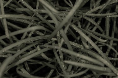 Alçak tuş Yeşil yapraklı makro manzaraya su dök, koyu