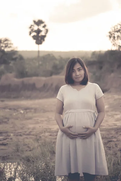 Hamile Bir Kadının Kırsal Kesimdeki Klasik Tarzı Koyu Tonu Sepya — Stok fotoğraf