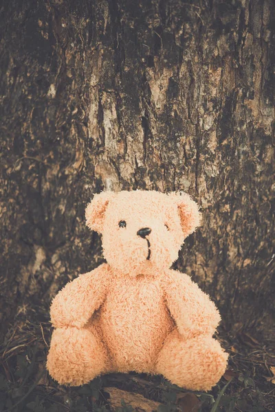 Alone Bear Doll Very Sad Alone Lonely — Stock Photo, Image