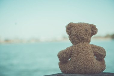 Ayı bebek yalnız oturur, klasik tarzda.