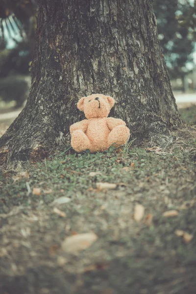 Кукла Медведя Одна Грустная Одинокая Одинокая — стоковое фото