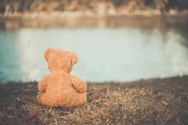 Alone bear doll,very sad,alone,lonely