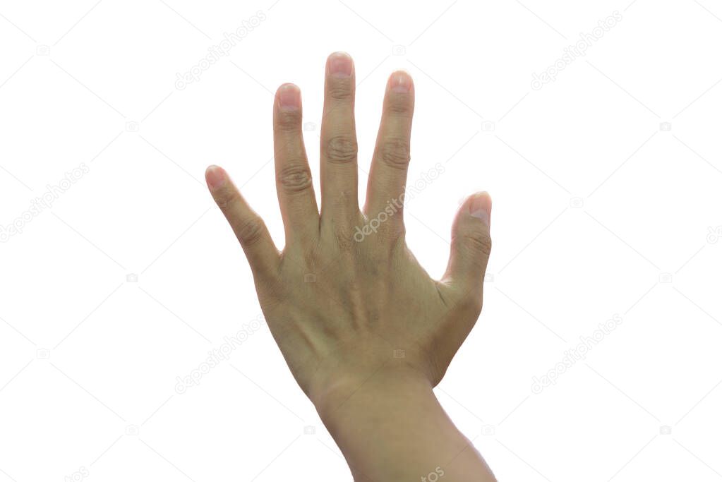 Closeup five fingers isolate on white background