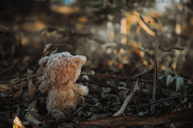 Yalnız oyuncak ayı, klasik esmer tonda.