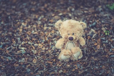 Yalnız oyuncak ayı yalnız kalır eski usul