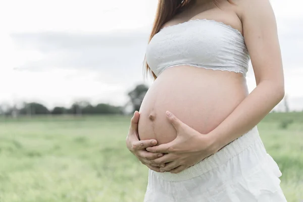 Ritratto Giovane Asiatica Donna Incinta — Foto Stock