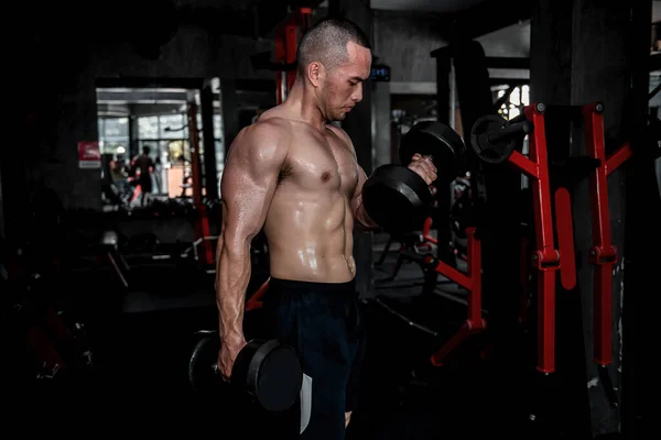 ジムでアジアの男の大きな筋肉の肖像 タイの人々 健康のために働く 体重トレーニング ジムのコンセプトでフィットネス 腹部の筋肉に感謝 ダンベルを持ち上げる — ストック写真
