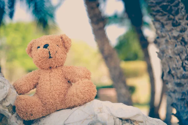 Teddy Kayanın Üzerinde Tek Başına Oturacak Klasik Tarzda — Stok fotoğraf