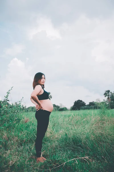 Porträtt Gravid Kvinna Stående Fälten Mörk Ton Vintage Stil Pastell — Stockfoto