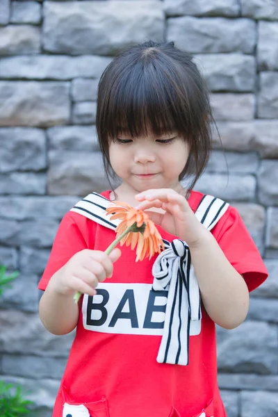 Zbliżenie Mała Dziewczynka Kwiat Stylu Vintage Strony Pastelowy Dźwięk Ton — Zdjęcie stockowe