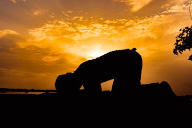 Silhouette Young asian muslim man praying on sunset,Ramadan festival concept clipart