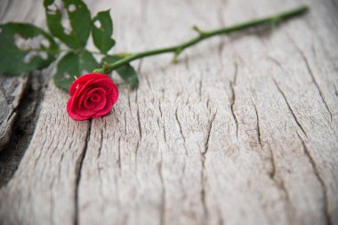 Sevgililer günü kartı şablonu, kopyalama alanı 