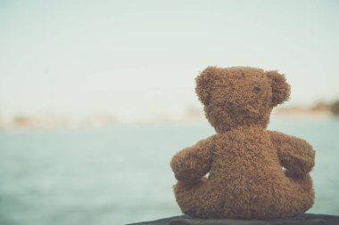 Ayı bebek yalnız oturur, klasik tarzda.