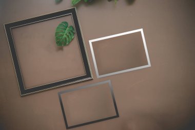 Çerçeve kahverengi duvarda, yeşil yaprak, mahsul, karanlık, film