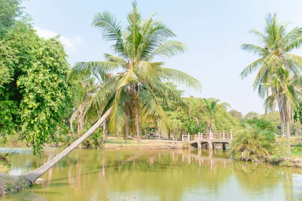 Vista Desde Jardín Público Nonthaburi Tailandia Coco Puente — Foto de Stock