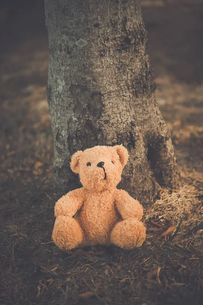 Alone Bear Doll Very Sad Alone Lonely — Stock Photo, Image