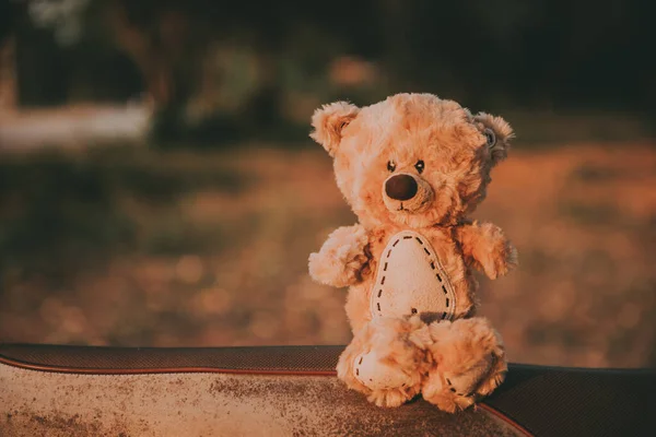 Alone Teddy Bear Out Door Vintage Dark Tone Style — Stock Photo, Image