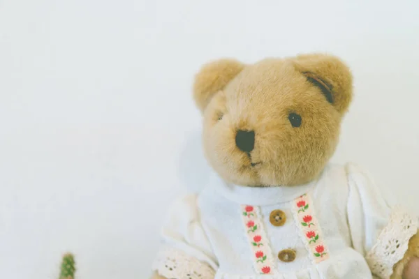 Cute bear doll on white wall background,soft focus,vintage style