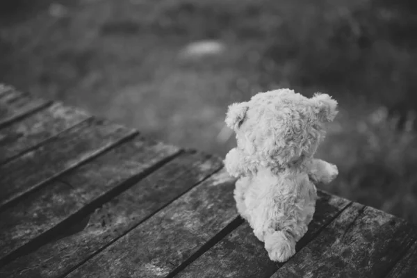 Alone Teddy Bear Out Door Vintage Dark Tone Style — Stock Photo, Image