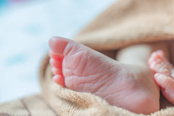 Closeup Feet Baby Sleeping — Stock Photo, Image