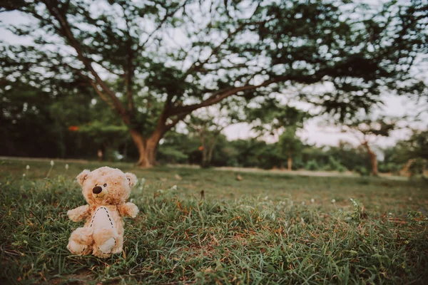 Sozinho Ursinho Para Fora Porta Vintage Tom Escuro Estilo — Fotografia de Stock