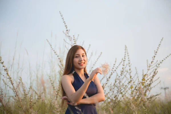 Beautiful Girl Flowers Field Sunset Soft Focus Grass Flowers Her — стоковое фото