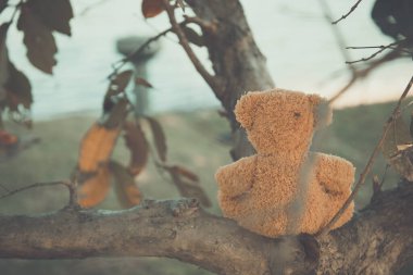 Ayı bebek yalnız oturur, klasik tarzda.