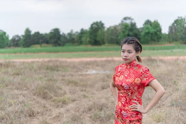 Boldog Kínai Újévet Ázsiai Visel Hagyományos Cheongsam Ruhák Portré Szabadban — Stock Fotó