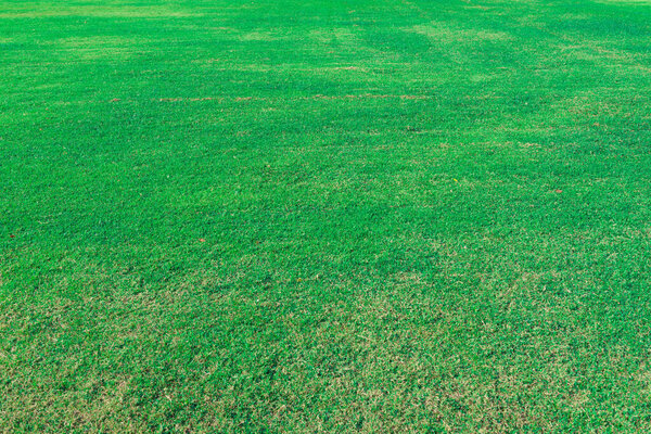 Close up lawn of soccer field for texture background