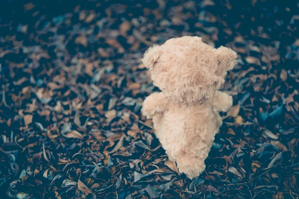 Lonely Teddy Bear Stay Alone Vintage Style — Stock Photo, Image