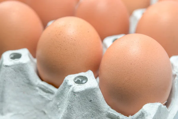 Eggs Panel Macro View — Stock Photo, Image